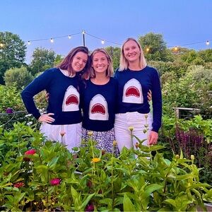 REMY  Shark Cashmere sweater in Navy